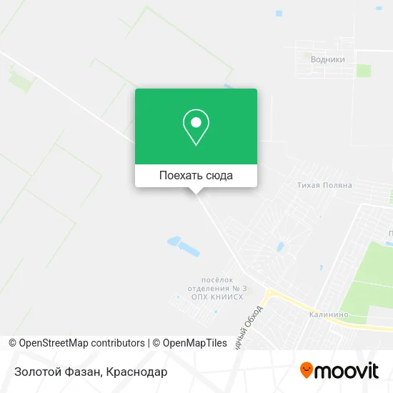 Карта Золотой Фазан