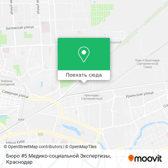 Карта Бюро #5 Медико-социальной  Экспертизы