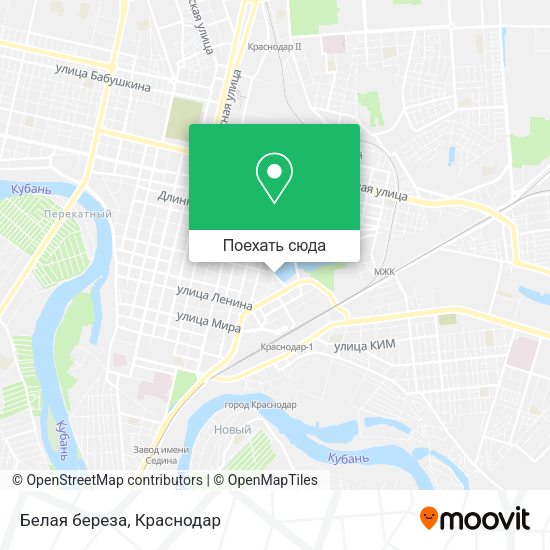 Карта Белая береза