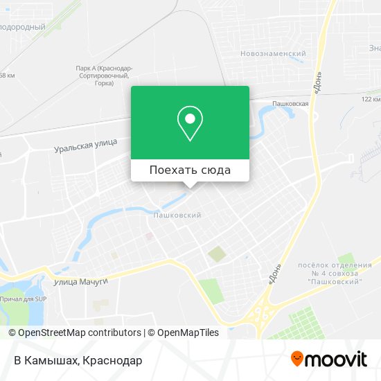 Карта В Камышах