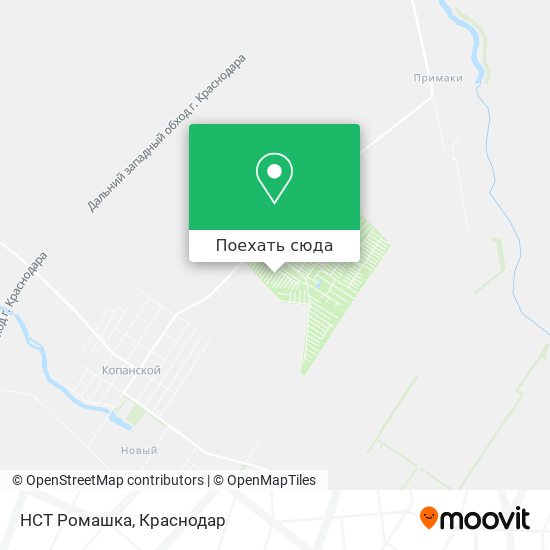 Карта НСТ Ромашка