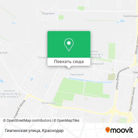 Карта Гиагинская улица