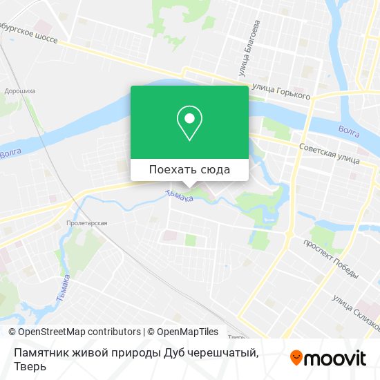Карта Памятник живой природы Дуб черешчатый