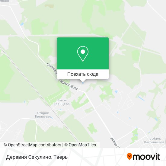 Карта Деревня Сакулино