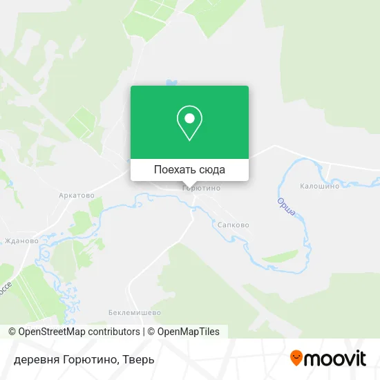Карта деревня Горютино