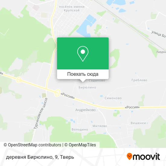Карта деревня Бирюлино, 9