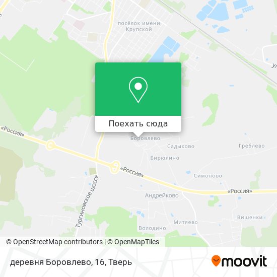 Карта деревня Боровлево, 16