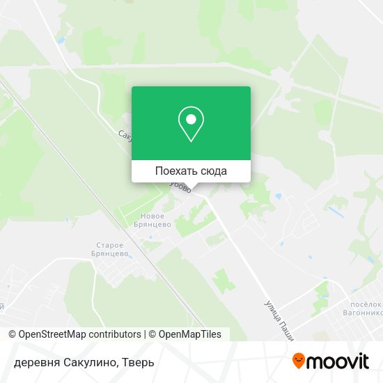 Карта деревня Сакулино