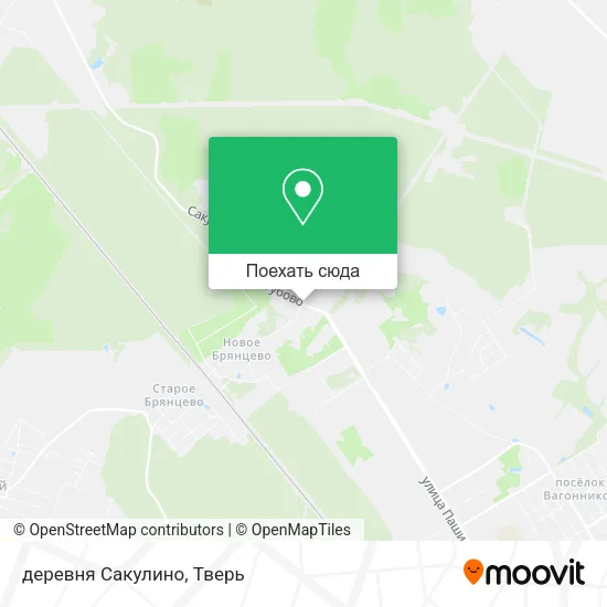 Карта деревня Сакулино