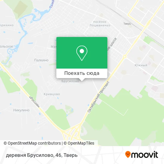 Карта деревня Брусилово, 46