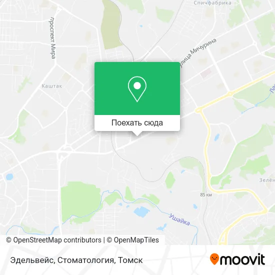 Карта Эдельвейс, Стоматология