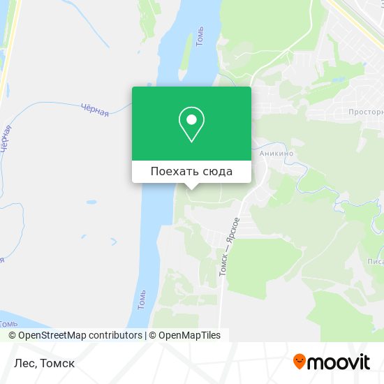 Карта Лес
