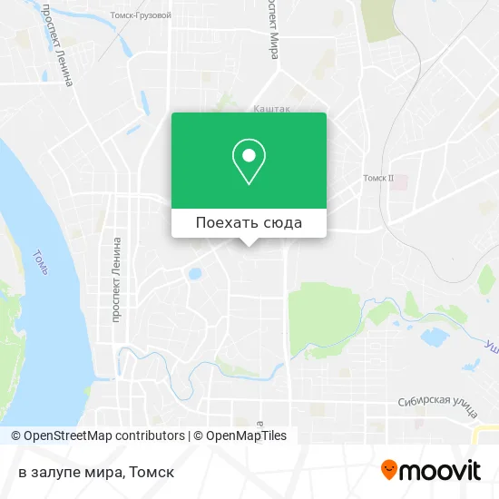 Карта в залупе мира