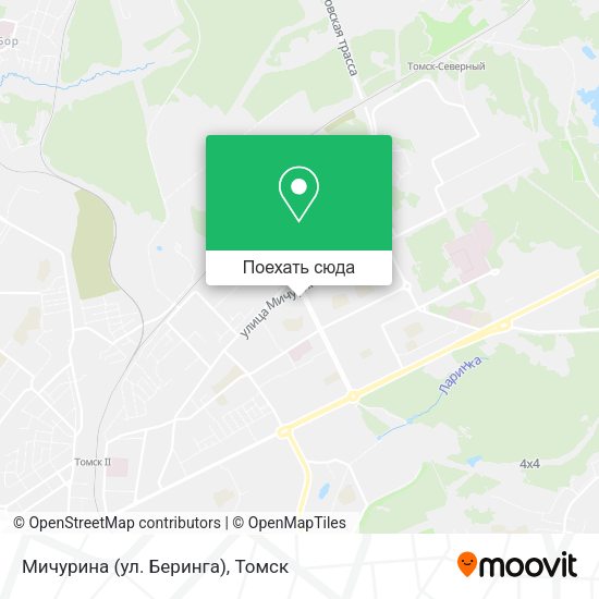 Карта Мичурина (ул. Беринга)
