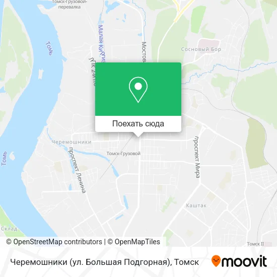 Карта Черемошники (ул. Большая Подгорная)