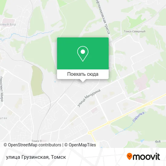 Карта улица Грузинская