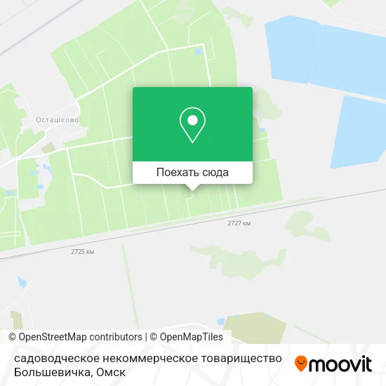 Карта садоводческое некоммерческое товарищество Большевичка