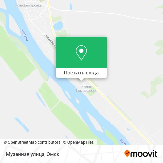Карта Музейная улица