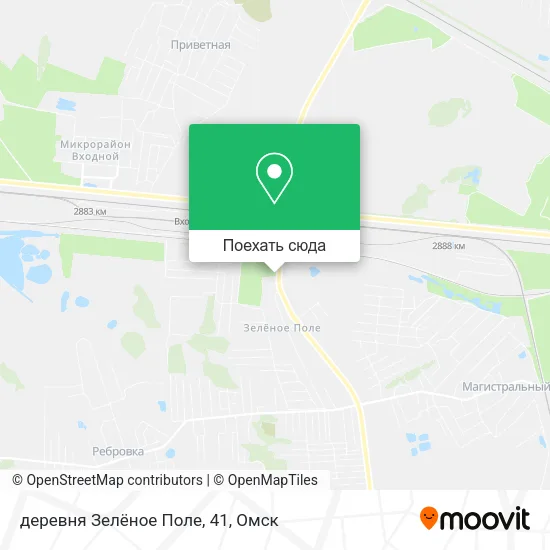 Карта деревня Зелёное Поле, 41