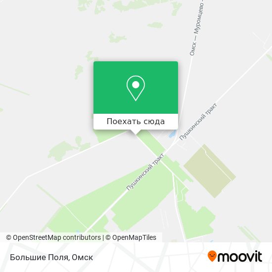 Карта Большие Поля