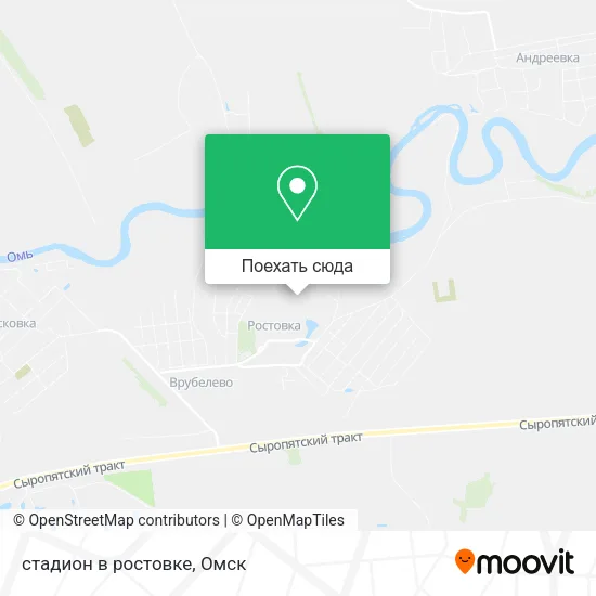 Карта стадион в ростовке