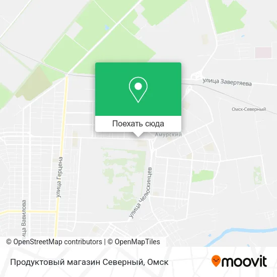 Карта Продуктовый магазин Северный