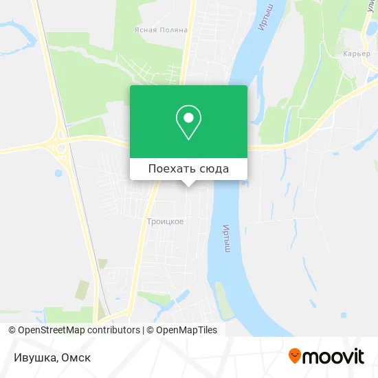 Карта Ивушка