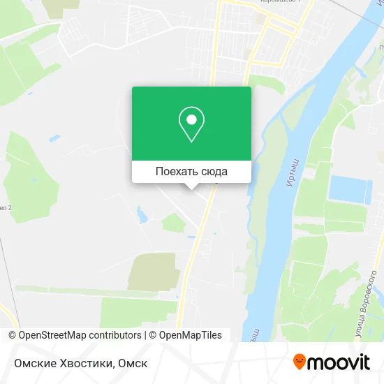 Карта Омские Хвостики