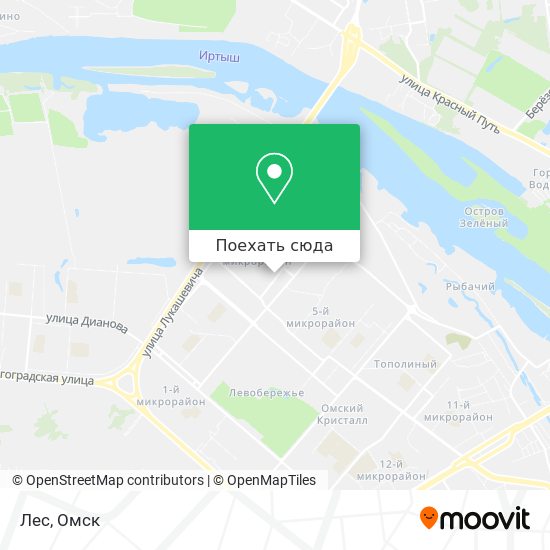 Карта Лес