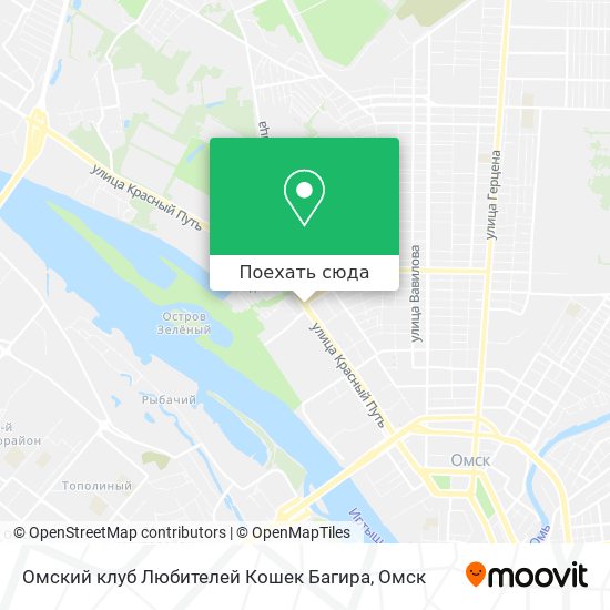 Карта Омский клуб Любителей Кошек Багира