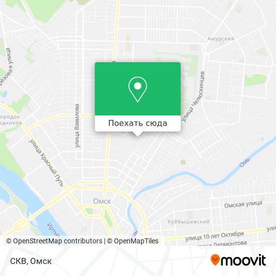 Карта СКВ