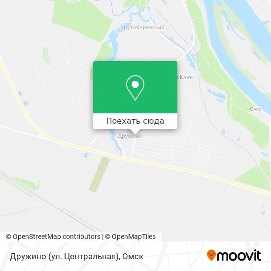 Карта Дружино (ул. Центральная)