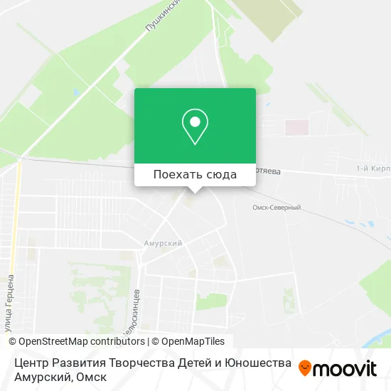 Карта Центр Развития Творчества Детей и Юношества Амурский