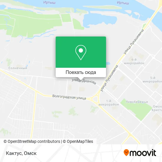 Карта Кактус