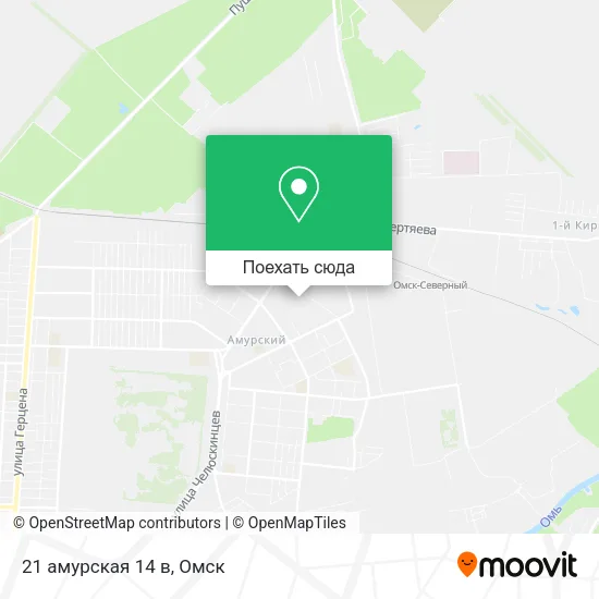 Карта 21 амурская 14 в