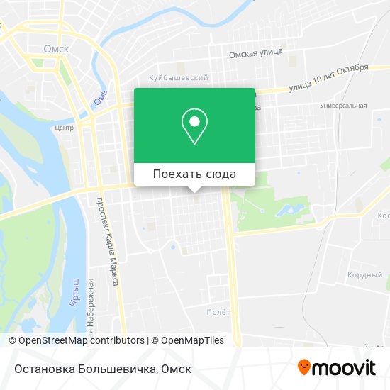 Карта Остановка Большевичка