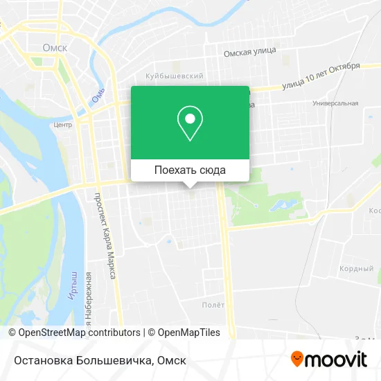 Карта Остановка Большевичка