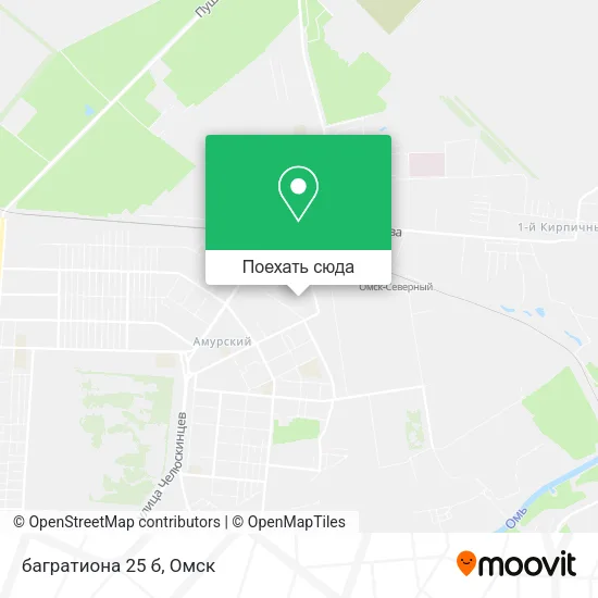 Карта багратиона 25 б