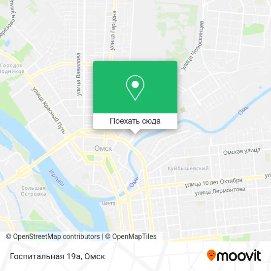 Карта Госпитальная 19а