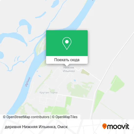 Карта деревня Нижняя Ильинка