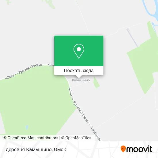 Карта деревня Камышино
