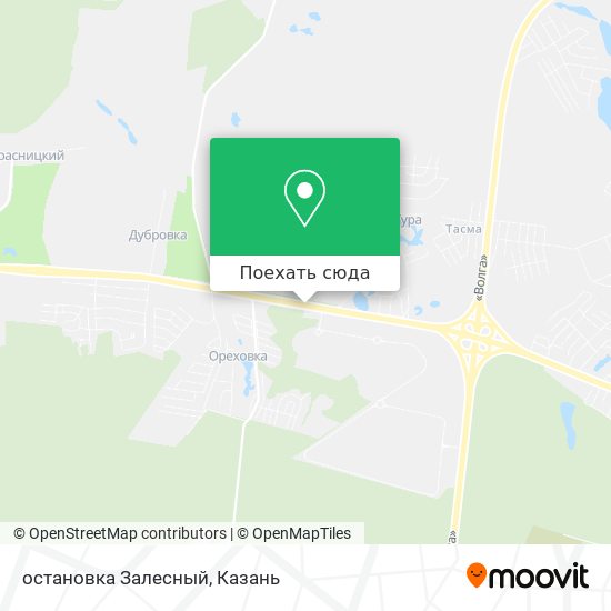 Карта остановка Залесный
