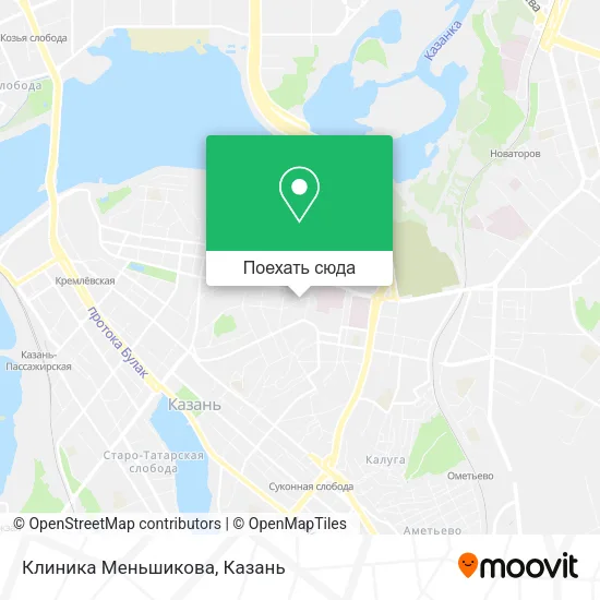 Карта Клиника Меньшикова