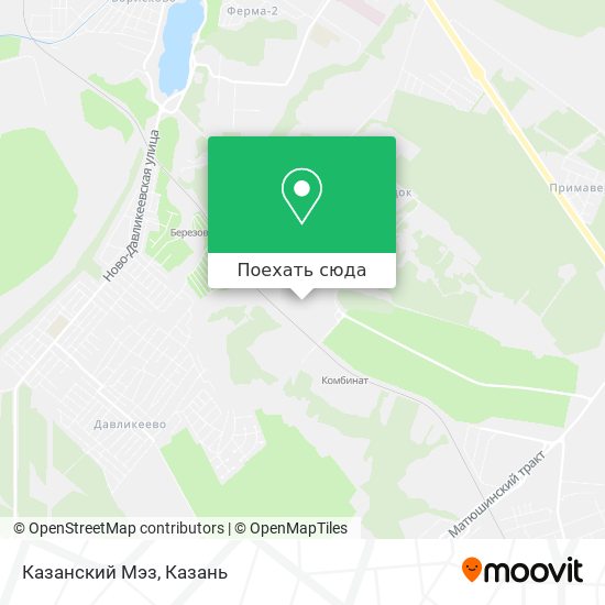 Карта Казанский Мэз