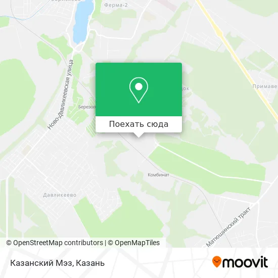 Карта Казанский Мэз