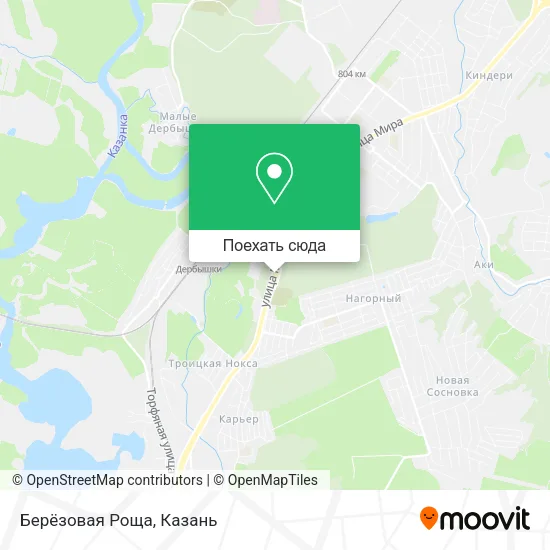 Карта Берёзовая Роща