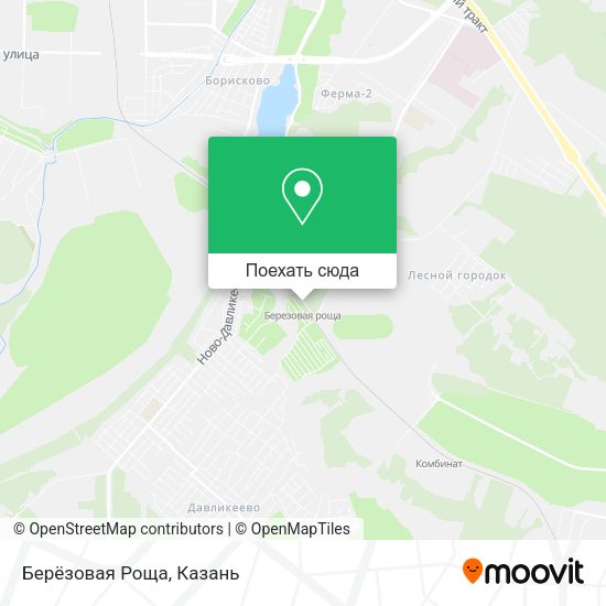 Карта Берёзовая Роща