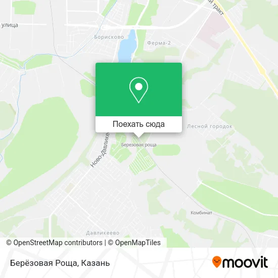 Карта Берёзовая Роща