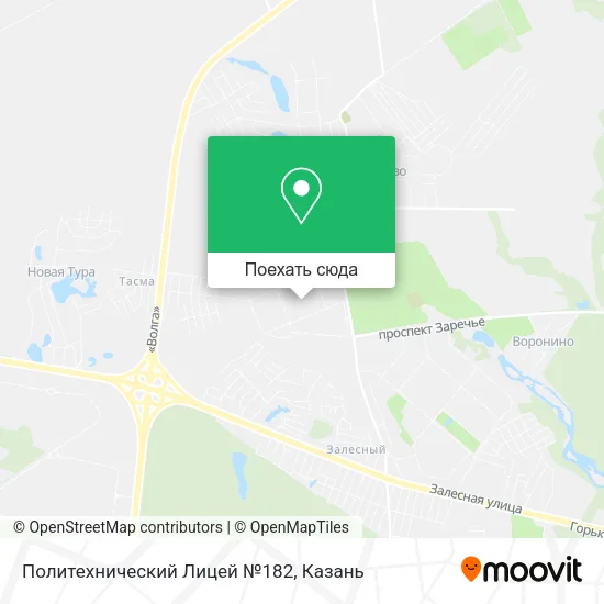 Карта Политехнический Лицей №182