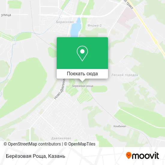 Карта Берёзовая Роща